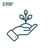 istock Hand holds tree or plant. Outline vector icon with editable stroke 1282827886