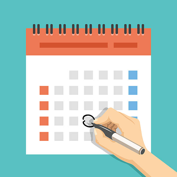 Hand mark calendar. US version with week started on Sunday Hand with pen mark calendar. US version with week started on Sunday. Important event. Modern flat design concept for web banners, web sites, printed materials, infographics. Flat vector illustration holiday calendars stock illustrations