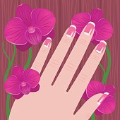 Hand of a woman with French manicure on a tree and pink orchid background Stock vector illustration