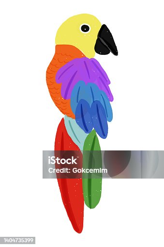 istock Hand Painted Pastel Drawing Parrot Isolated. Natural Abstract Pattern, Clip Art, Design Elment. Tropical background, tropical design element, summer concept. Party flyer template. 1404735399