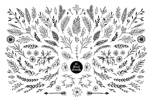 Hand sketched vector vintage elements ( laurels, frames, leaves, flowers, swirls, feathers). Wild and free. Perfect for invitations, greeting cards, quotes, blogs, posters.