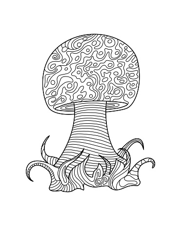 Hand sketches of doodles of mushrooms. Vector sketches of autumn forest plants. Design element for print, label, logo, packaging, template, badge, book, coloring book.