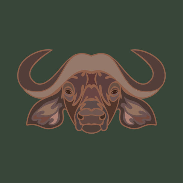 Hand-drawn abstract portrait of a buffalo for tattoo, logo, wall decor, T-shirt print design or outwear. Colorful vector stylized illustration on green background. Hand-drawn abstract portrait of a buffalo for tattoo, logo, wall decor, T-shirt print design or outwear. Colorful vector stylized illustration on green background. drawing of the bull head tattoo designs stock illustrations