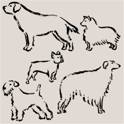 Hand-drawn of dog's illustration