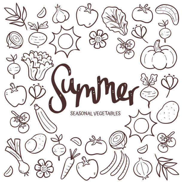 bildbanksillustrationer, clip art samt tecknat material och ikoner med hand-drawn summer seasonal vegetables background - squash sun