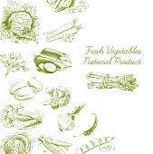 Hand-drawn vector illustration with vegetables. A sketch in a vintage style.