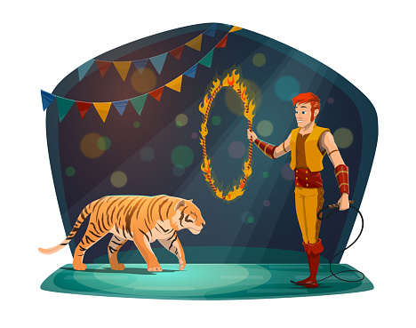 Circus performance with tiger jumping through fire ring and handler in scenic costume. Spectacular entertainment, man with circle in flame and wild dangerous animal ready to show trick vector
