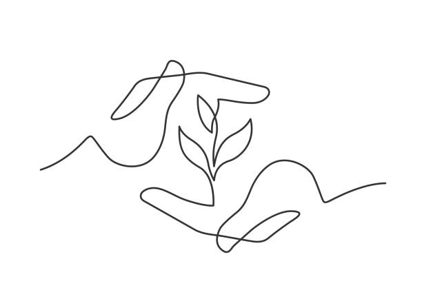 hands herb one line Continuous line drawing of growing plant between two  human hands meaning care and love. Vector illustration growth drawings stock illustrations