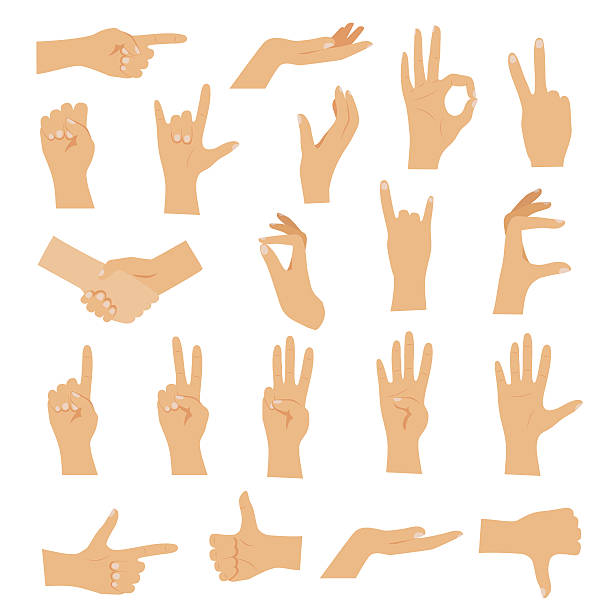 ilustrações, clipart, desenhos animados e ícones de mãos em vários gestos. vetor moderno de design plano - aperto de mãos