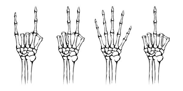 Womens Flipping The Bones Funny Skeleton Hands Middle Finger Halloween Tshirt
