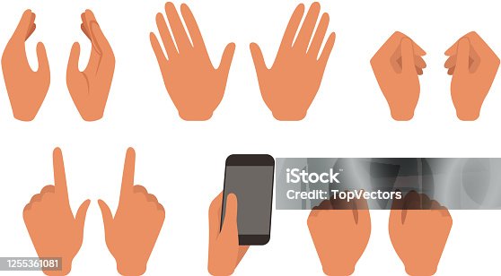 istock Hands Showing Different Gestures Set, Male or Female Body Part, Constructor for Animation Cartoon Style Vector Illustration 1255361081