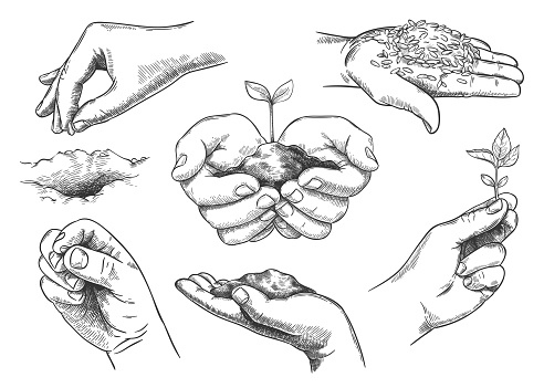Hands with plant sprout. Farmer hand holding soil and planting seeds. Save nature, grow new trees. Agriculture and ecology sketch vector set