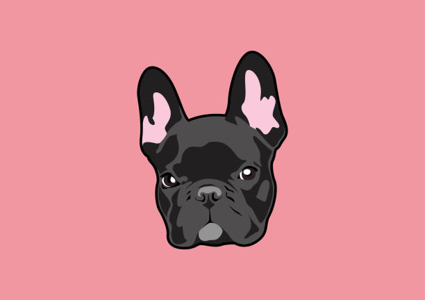 Handsome Black French Bulldog Logo. vector art illustration