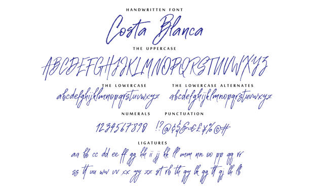Handwritten skript font vector alphabet Costa Blanca set Handwritten font set Costa Blanca with uppercase and lowercase letters numbers and punctuation. Alphabet calligraphy signs. Letter stock vector illustration. Hand drawn typography typeset. handwriting stock illustrations