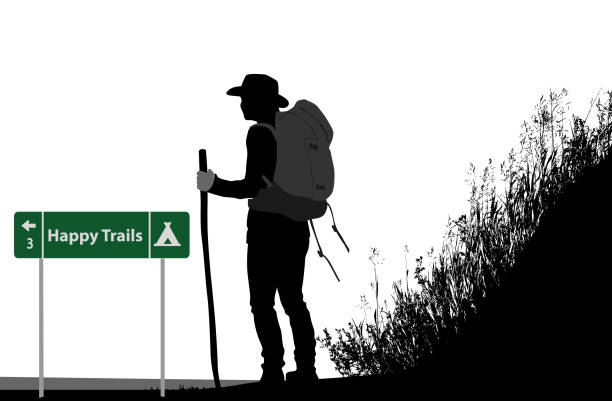 Happy Adventurer Backpacker standing by the road with long grass on the roadside. adventure clipart stock illustrations