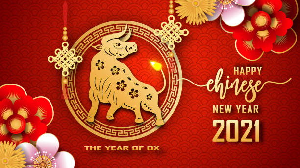 Happy Chinese new year 2021. The year of the Ox. Chinese new year fortune greeting card graphic design background and wallpaper. Red and gold paper cut with plum blossom flower. Asian culture element Happy Chinese new year 2021. The year of the Ox. Chinese new year fortune greeting card graphic design background and wallpaper. Red and gold paper cut with plum blossom flower. Asian culture element chinese new year stock illustrations