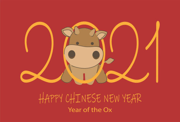 ilustrações, clipart, desenhos animados e ícones de feliz vetor chinês de ano novo 2021. ano do desenho animado do boi. - gado brasil