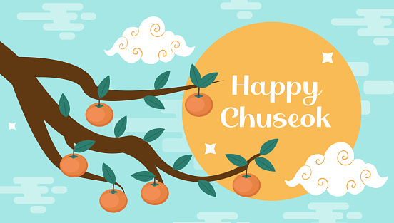 Happy Chuseok, Mid autumn festival card, poster template for your design. Persimmons Tree Branch, Korean Thanksgiving and Harvest Festival. Vector illustration