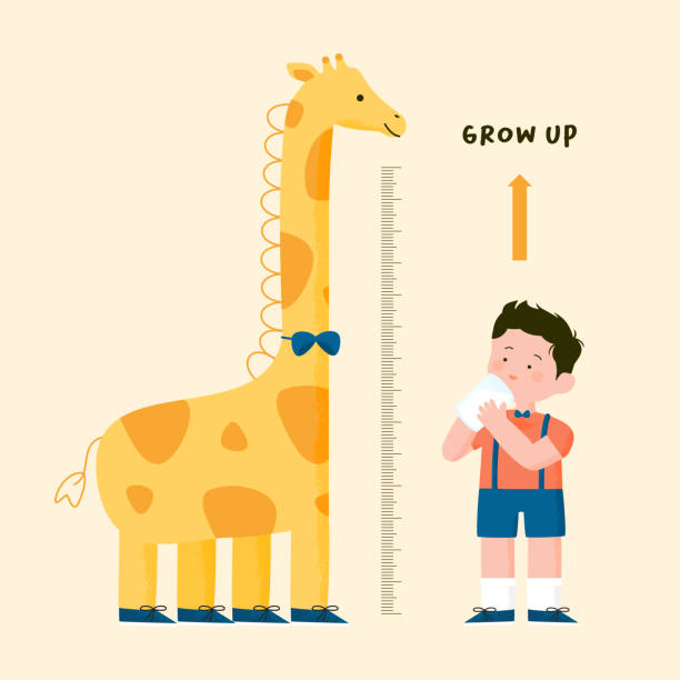 Happy cute cartoon little kid boy drink growth milk measure height with giraffe height chart vector illustration  tall boy stock illustrations
