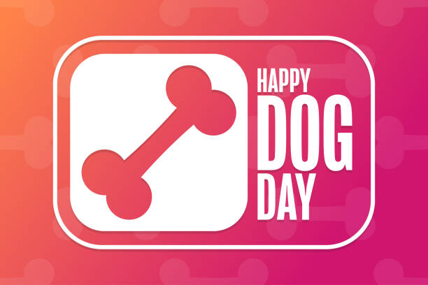 Happy Dog Day. Holiday concept. Template for background, banner, card, poster with text inscription. Vector EPS10 illustration. Happy Dog Day. Holiday concept. Template for background, banner, card, poster with text inscription. Vector EPS10 illustration international dog day stock illustrations