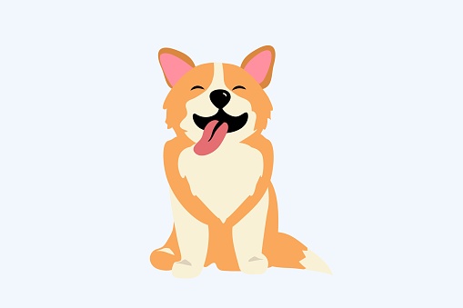 Happy dog smile Cute smiling welsh corgi Dog smile face with paw and heart shaped nose Corgi sitting sticking out his tongue