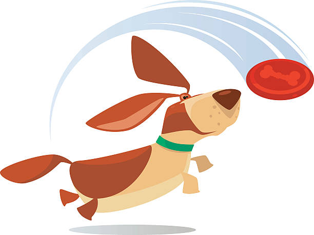 happy dog vector character of dog going to catch frisbee… frisbee clipart stock illustrations