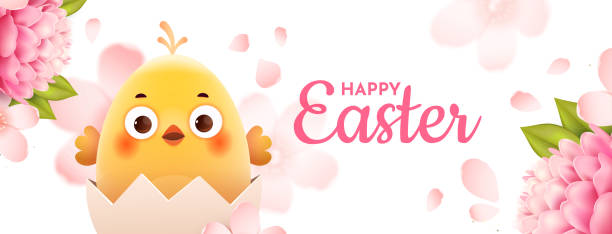 Happy easter. Spring banner Easter banner with cute chick and spring flowers on white background. Easter horizontal postcard. easter sunday stock illustrations