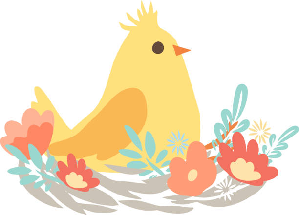 Happy Easter vector illustrations . chicken with eggs icons decorated with flowers on a white background . Chicken in the nest on a white background  easter sunday stock illustrations