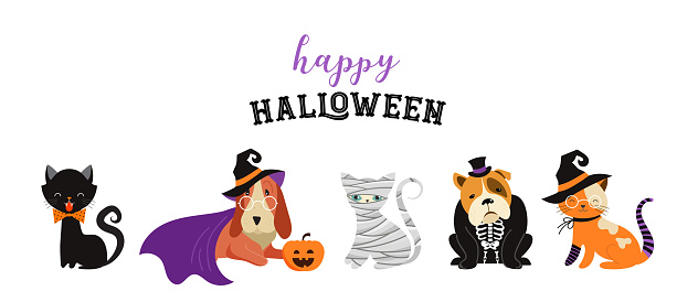 Happy Halloween Cats And Dogs In Monsters Costumes ...