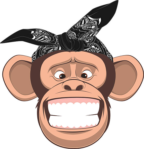 Happy monkey Vector illustration, funny monkey in bandana on white background laughing monkey stock illustrations
