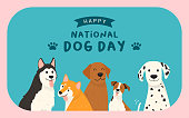 istock Happy National Dog Day greeting card vector design. Cute cartoon dogs on blue background 1334823186