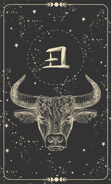 Happy New Year 2021 of the Ox, Ox-Taurus. Linear drawing on a black background, tarot, tattoo, chinese horoscope, astrology and zodiac signs. Vector illustration for poster, cover, calendar, logo. Happy New Year 2021 of the Ox, Ox-Taurus. Linear drawing on a black background, tarot, tattoo, chinese horoscope, astrology and zodiac signs. Vector illustration for poster, cover, calendar, logo drawing of the bull head tattoo designs stock illustrations