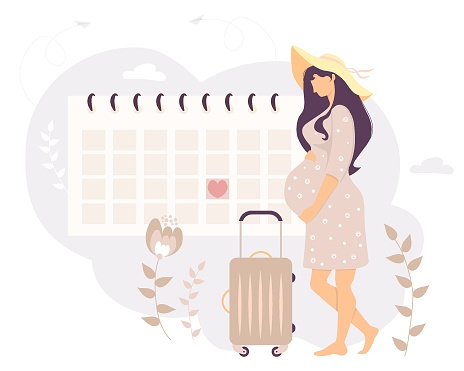 Happy pregnant girl looks at the calendar. A pretty tourist in a sun hat stands with a suitcase on wheels at the calendar against a background of flowers. Vector illustration. Womens health concept