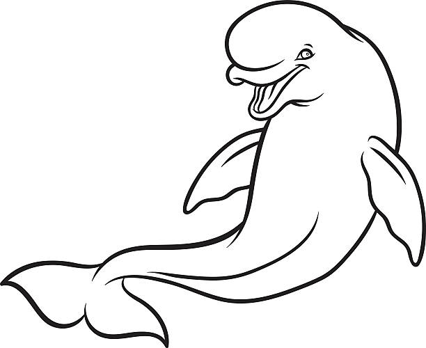 illustrations, cliparts, dessins animés et icônes de dessin animé heureux souriant béluga - beluga