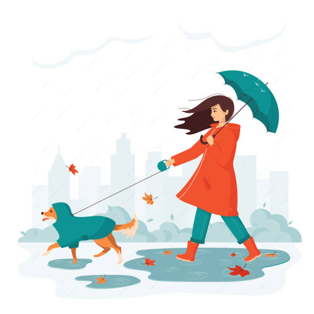 Rain Coat Vector Art, Icons, and Graphics for Free Download