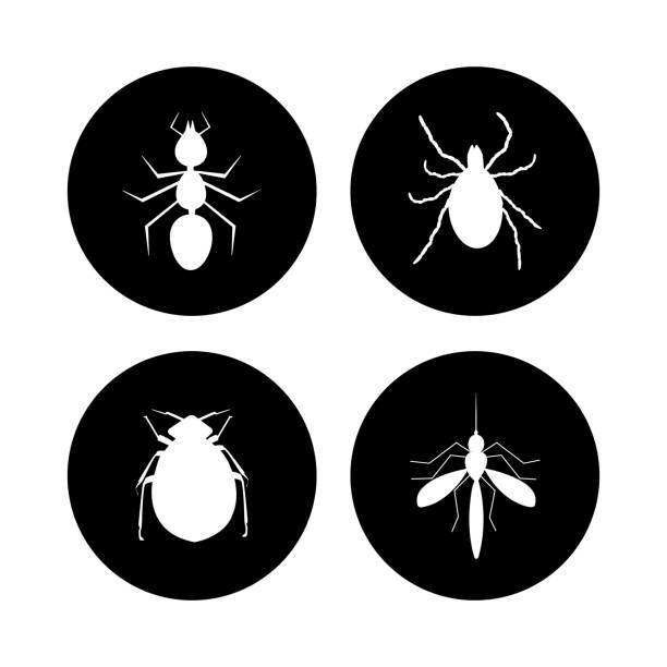 stockillustraties, clipart, cartoons en iconen met harmful insects set icon isolated on white background. tick, ant, flea and mosquito inside black circle sign. - lyme
