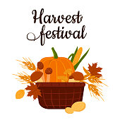 Harvest festival postcard or banner. Cartoon vector illustration of vegetables, mushrooms in a basket on an isolated white background.