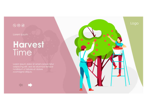 ilustrações de stock, clip art, desenhos animados e ícones de harvest time landing page - technology picking agriculture