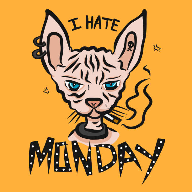 bildbanksillustrationer, clip art samt tecknat material och ikoner med jag hatar måndag sphynx katt rökning cigarett tecknade vektorillustration - boring date