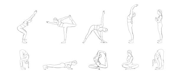 Hatha yoga poses set. Yogi woman in different asanas. Vector illustration Hatha yoga poses set. Yogi woman in different asanas. Sketch vector illustration isolated in white background yoga drawings stock illustrations