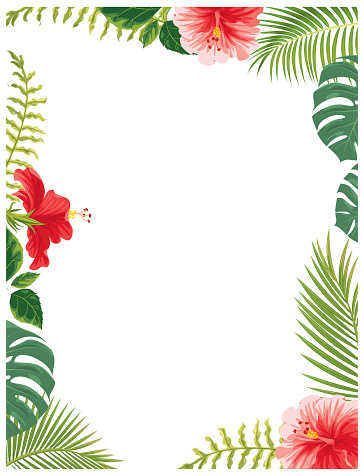 Hawaii Flowers And Plants Stock Illustration - Download Image Now - iStock