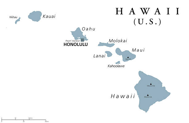 Hawaii political map Hawaii political map with capital Honolulu. State of the USA, located in Oceania, composed entirely of Islands, northernmost island group of Polynesia. Gray illustration with English labeling. Vector. big island hawaii islands stock illustrations
