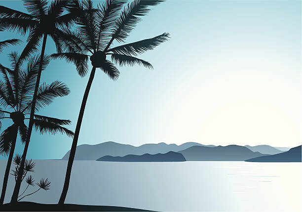 Hawaiian Air Beautiful tropical island landscape with palm trees. big island hawaii islands stock illustrations