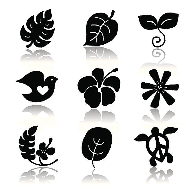 Hawaiian icon Vector icon that drew traditional pattern of Hawaii. black and white hibiscus cartoon stock illustrations