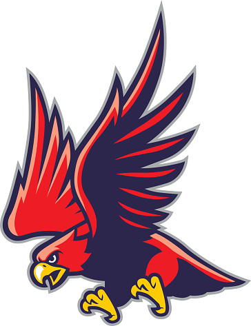hawk mascot