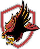 The illustration shows a sport emblem that has on it a hawk.