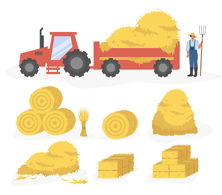 Hay harvesting set, flat vector isolated illustration.Tractor with hay, farmer, straw, haystack and hayloft.