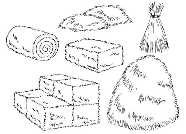 illustrazioni stock, clip art, cartoni animati e icone di tendenza di haystack set grafico bianco isolato schizzo illustrazione vettoriale - fieno