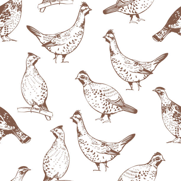 ilustrações de stock, clip art, desenhos animados e ícones de hazel grouse. vector   pattern - grouse flying