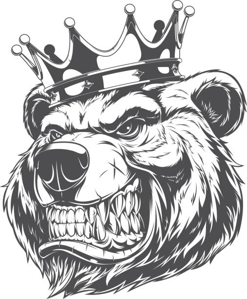Head of a ferocious bear Vector illustration of a furious bear in the crown, bear of the king. bear growling stock illustrations